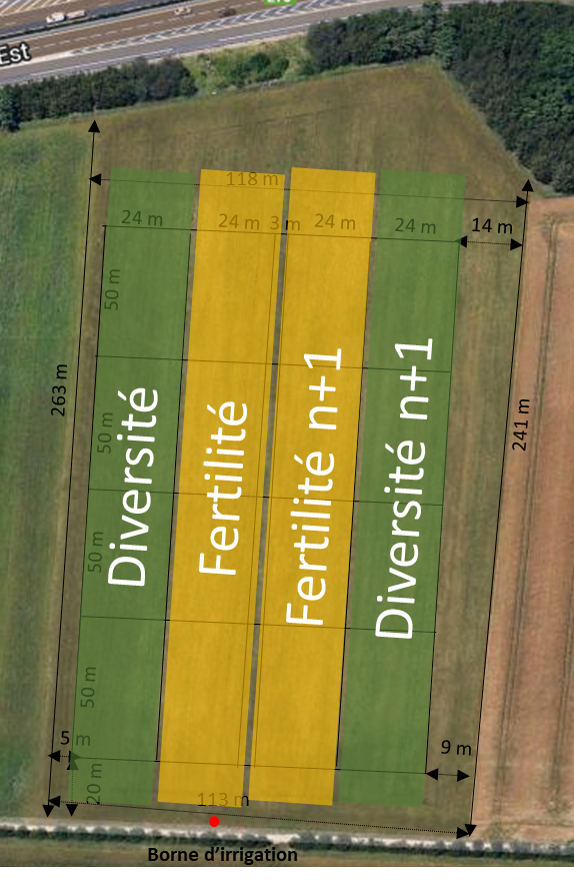 Dispositif de corbas
