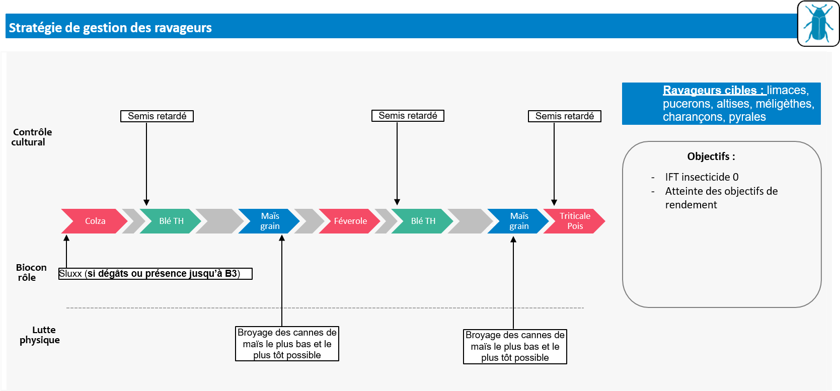 Schéma décisionnel ravageurs