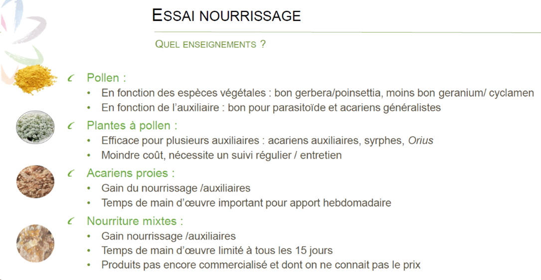 présentation emilie 