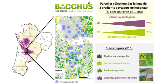 Dispositif_expe_OPERA