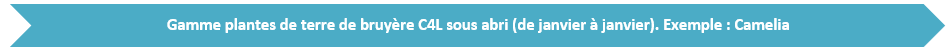 Schéma plantes de terre de bruyère sous abri