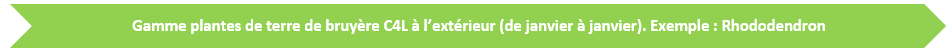 Schéma plantes de terre de bruyère en extérieur (Rhodo)