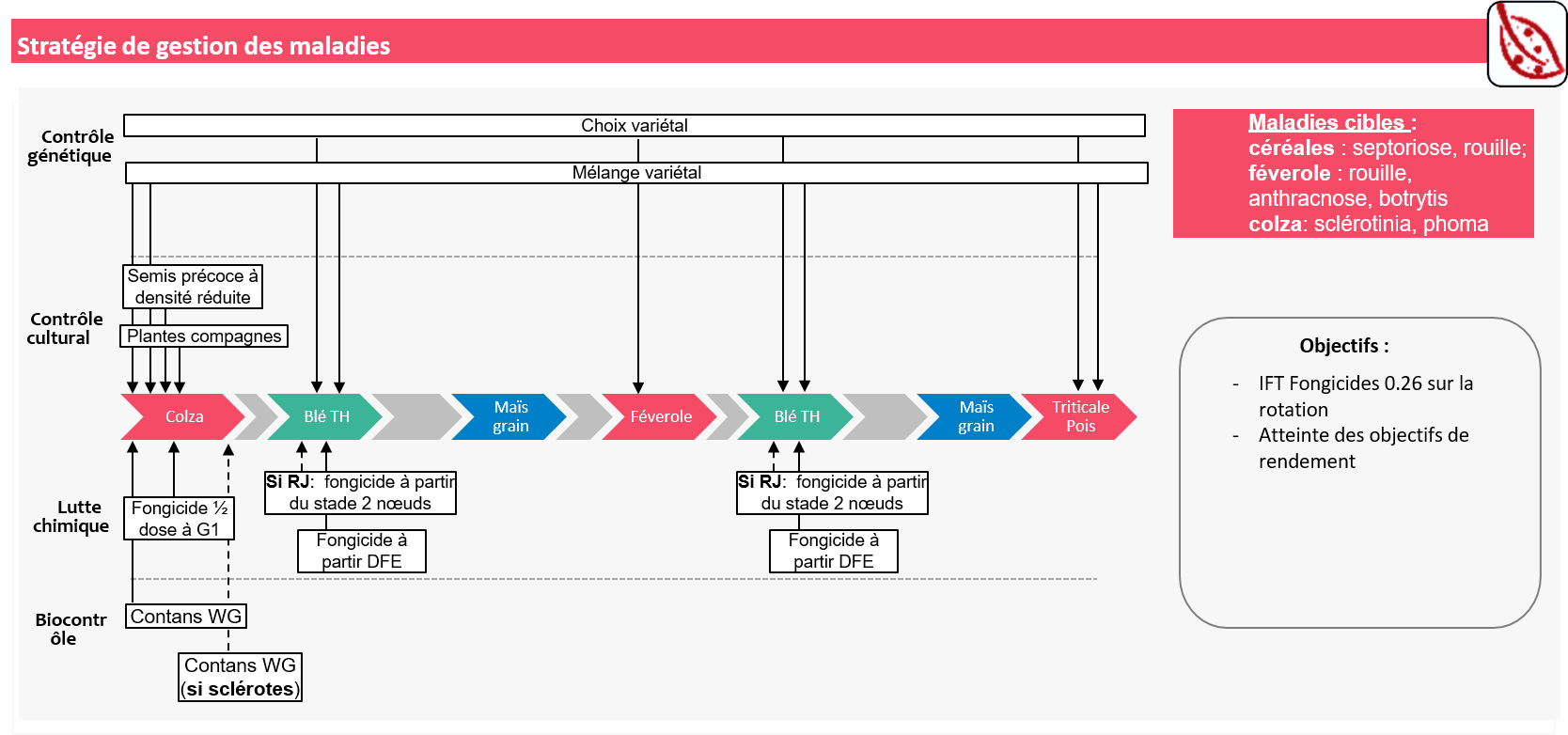 Schéma décisionnel maladies