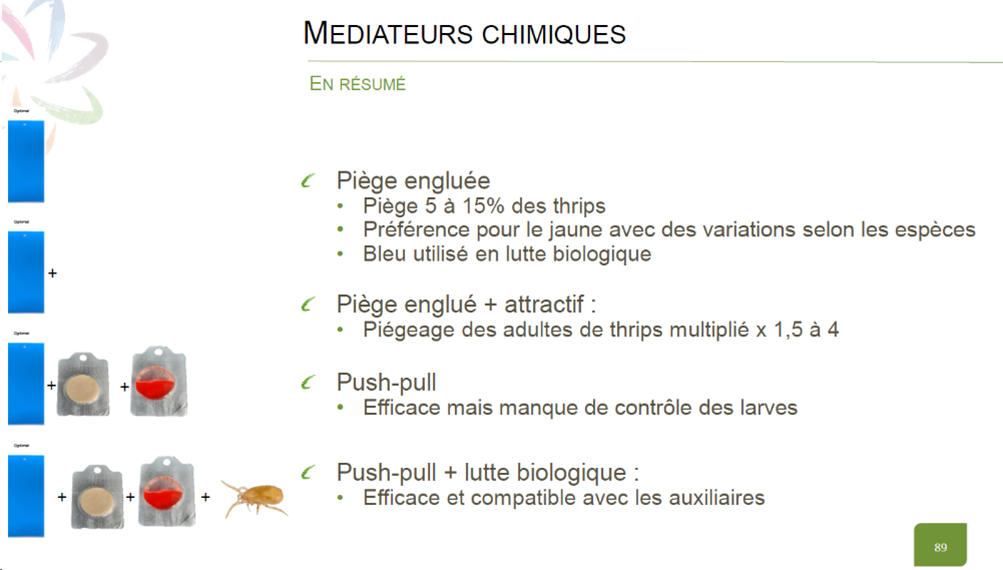 présentation emilie 