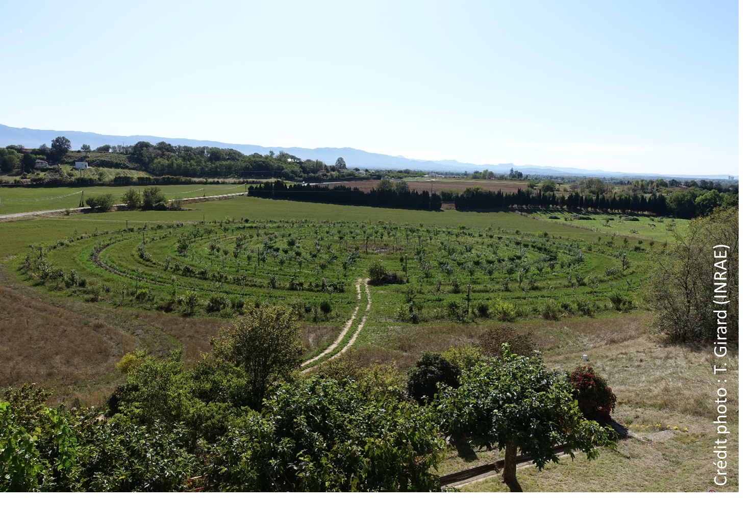 Vue d'ensemble du système 'Module 1'