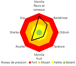 Niveau de pression maladies