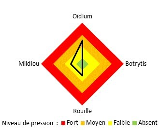 Graphique pression maladies