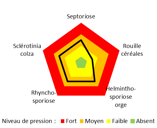 Graphique représentant le niveau de pression maladies