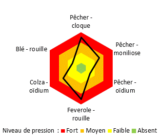 TAB_Système agroforestier_Maladies