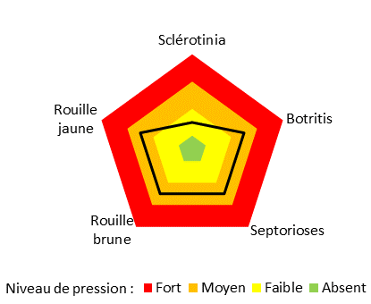 Le choix de variétés tolérantes ou peu sensibles est le principal levier de gestion du risque "maladies".