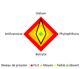 Graphique du niveau de pression des maladies sur le site