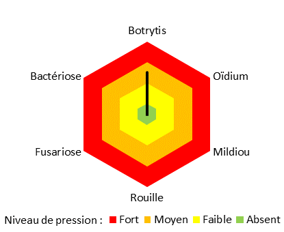 Niveau de pression en Maladies