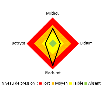 Pression des principales maladies fongiques