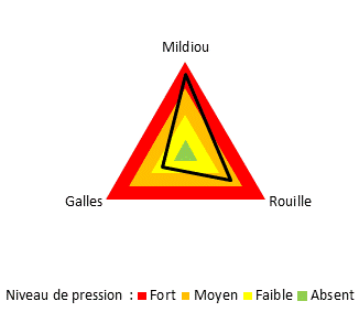 Graphique niveau de pression maladies sefersol