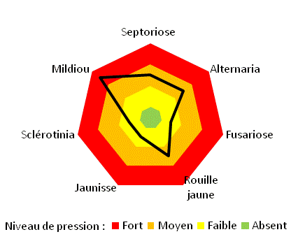 Graphique radar représentant la pression maladie