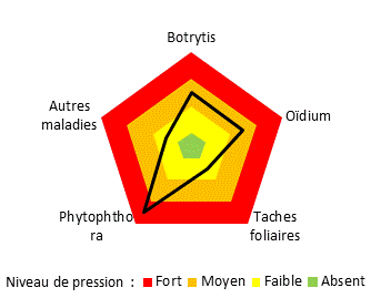 Risque maladie pour le système de culture mis en oeuvre sur le site