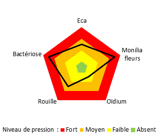 Graphique pression maladies SEFRA 2020