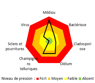 Graphique du niveau de pression des maladies