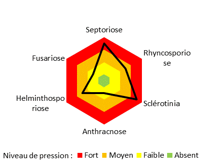 Radar pression maladies