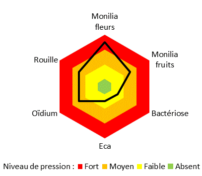 Niveau de pression maladies