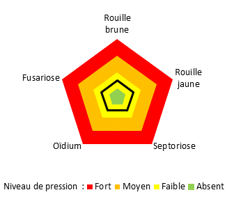 Pression maladies faible