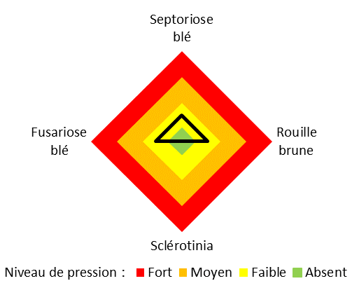 Graphique représentant la pression en maladies