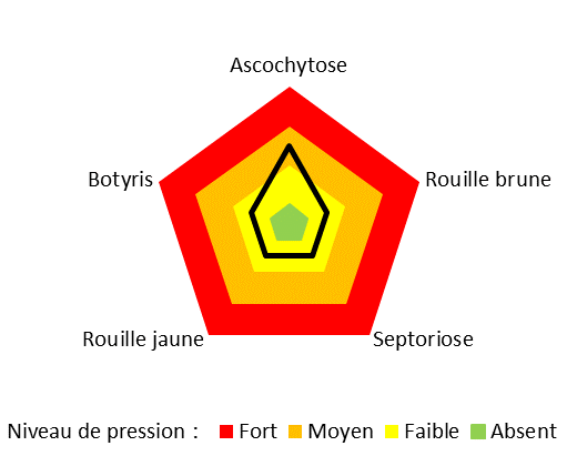 Graphique représentant le niveau de pression des maladies