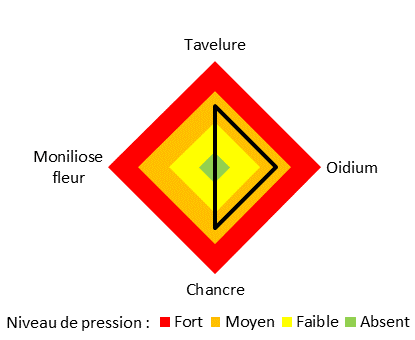 pression maladies site de Sées