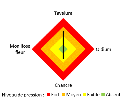 pression maladies P76