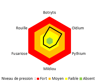 graphique pression maladie