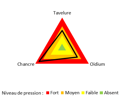 pression maladies site domjean