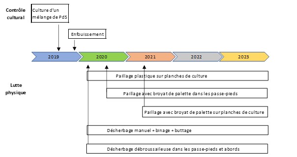 Stratégie de gestion des adventices