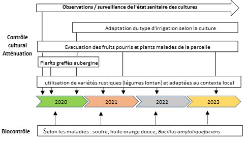 schéma décisionnel maladies