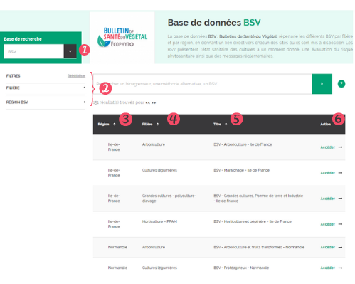 Page bsv