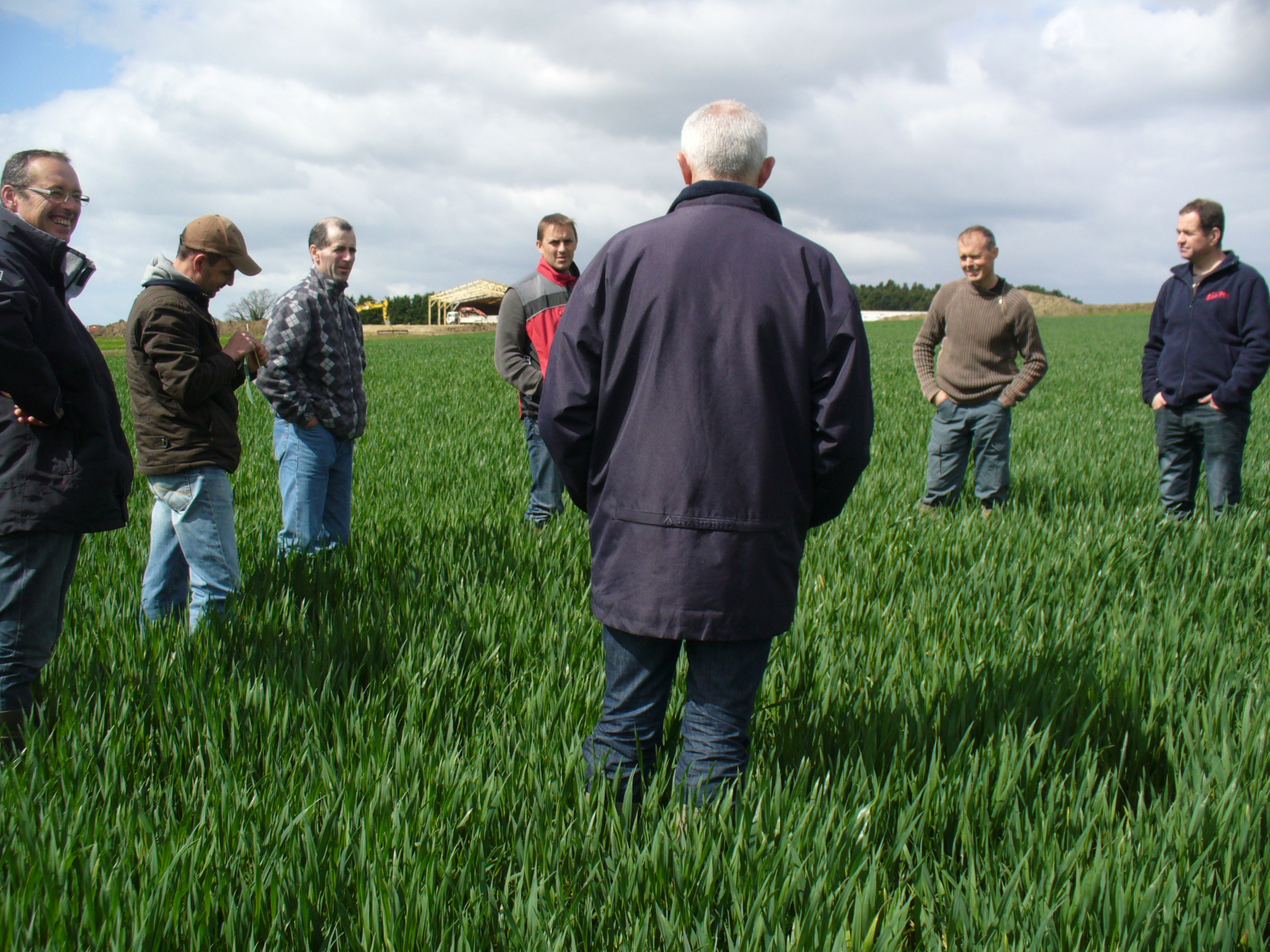 2014 bout de champ stratégie fongicide : déclencher ou attendre ?