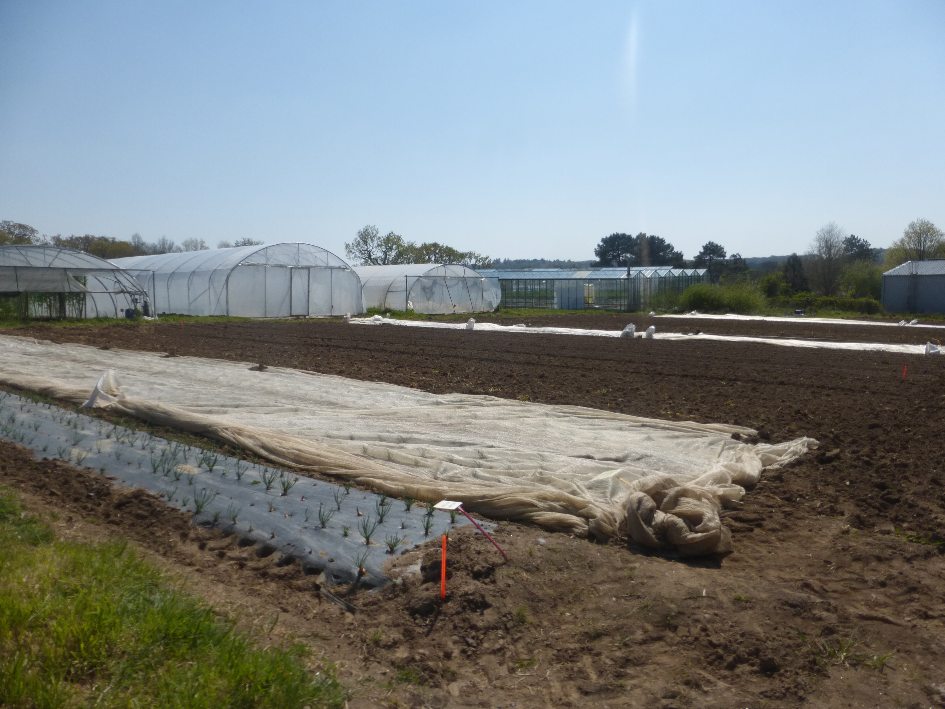 Système bas intrants