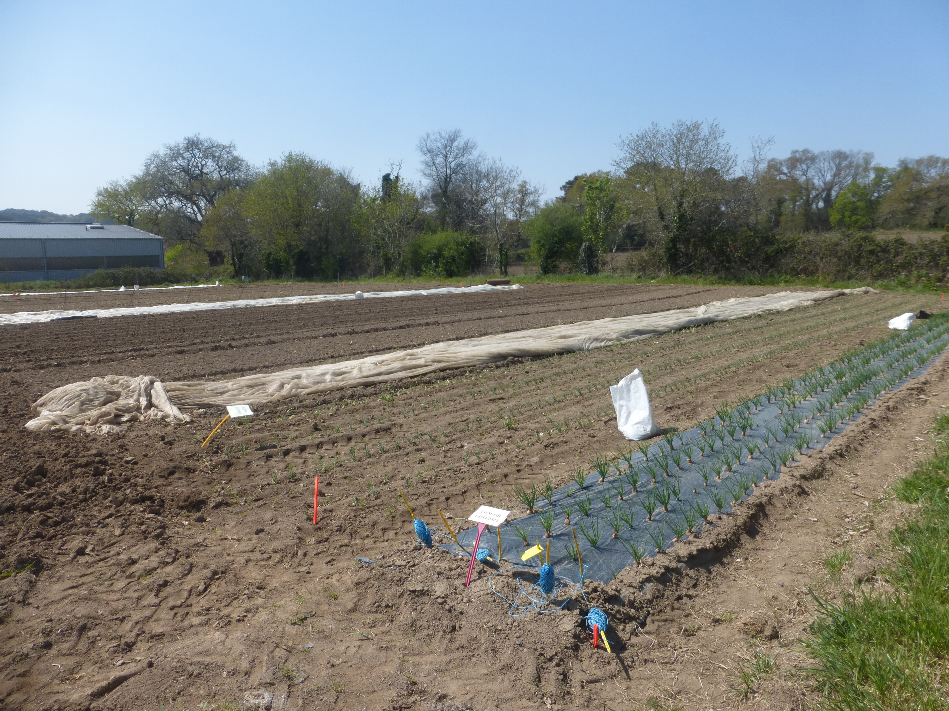 Système de référence
