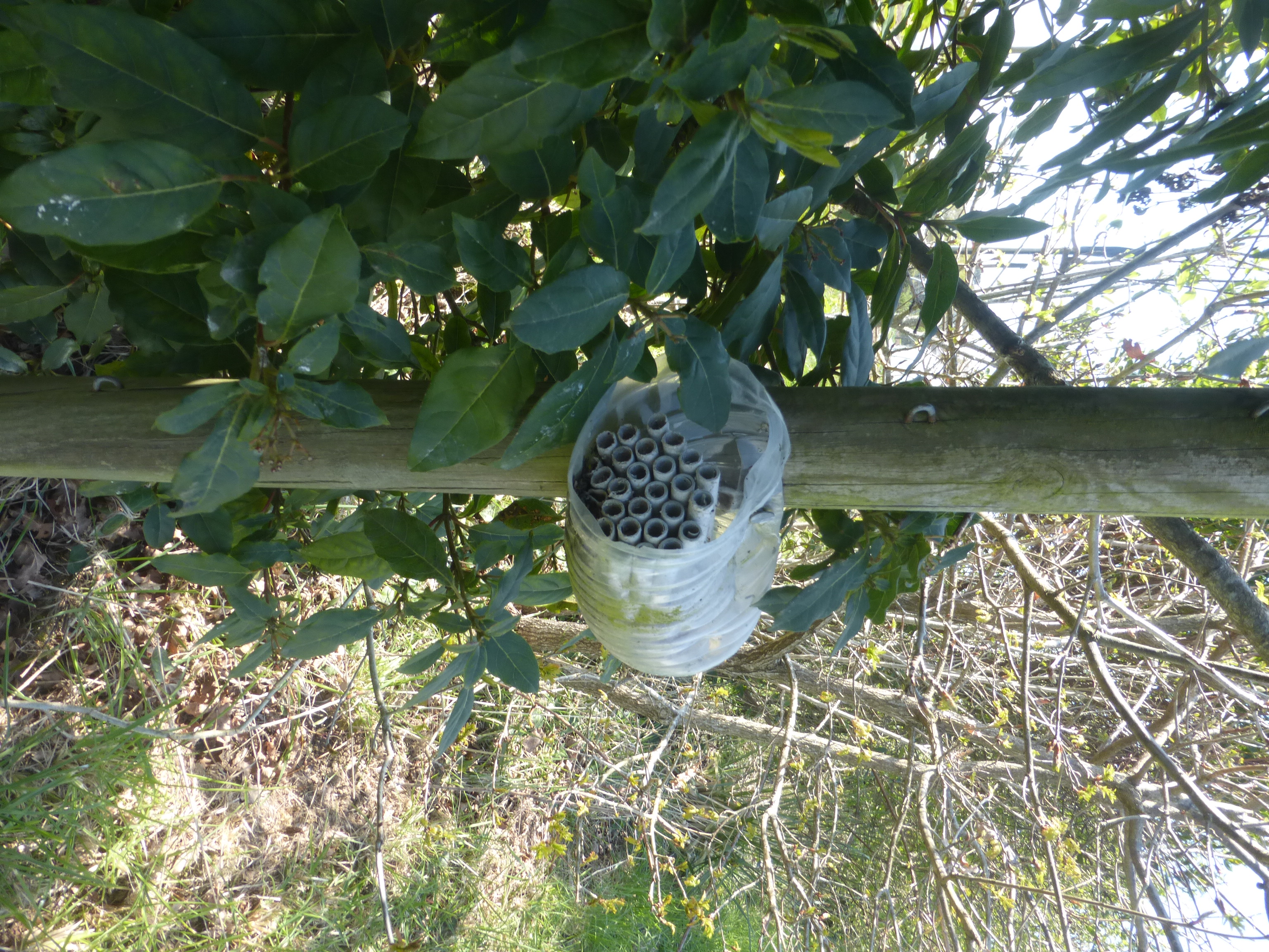 Nichoir à abeilles solitaires