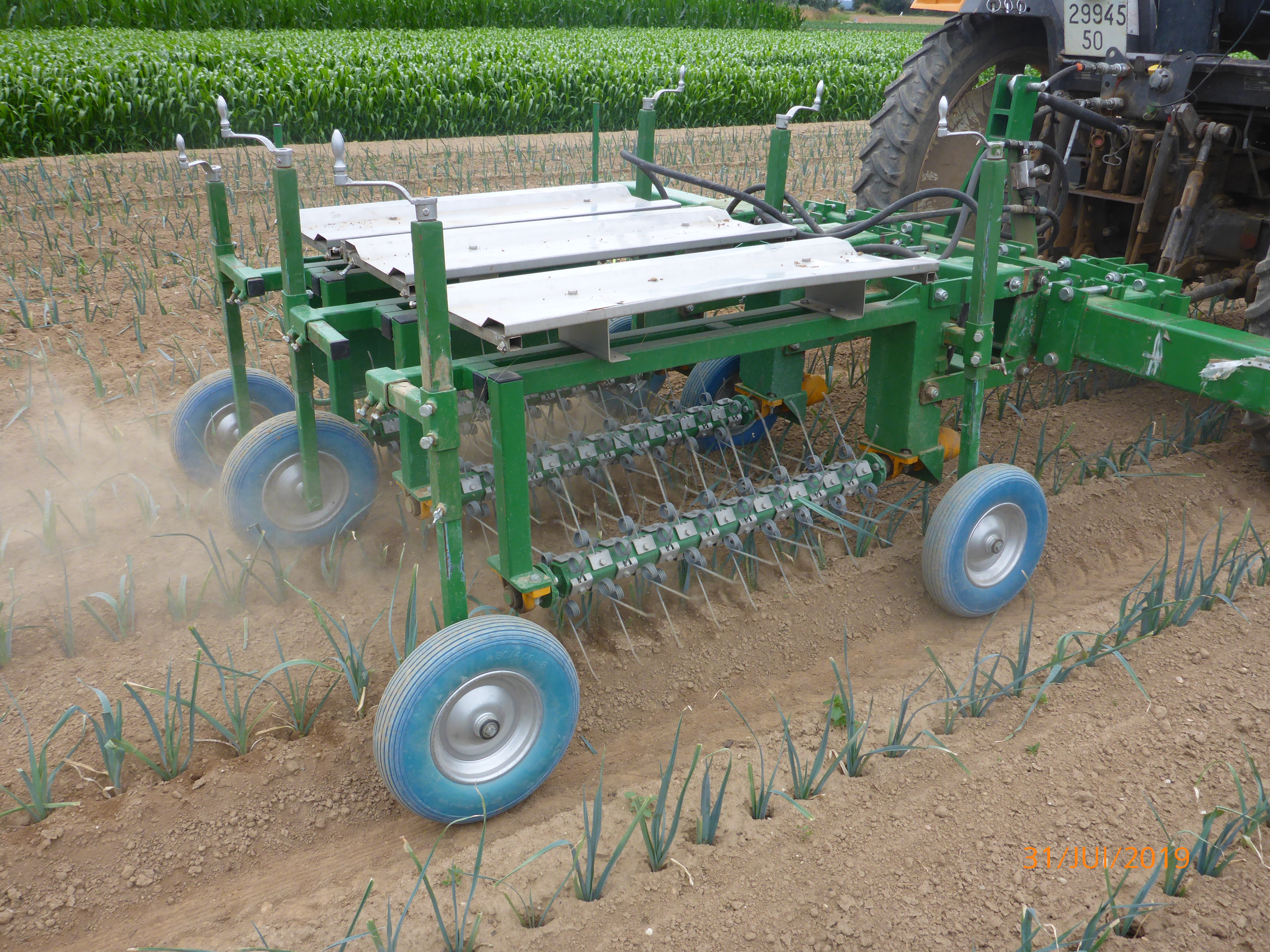 bineuse à dents dans les poireaux