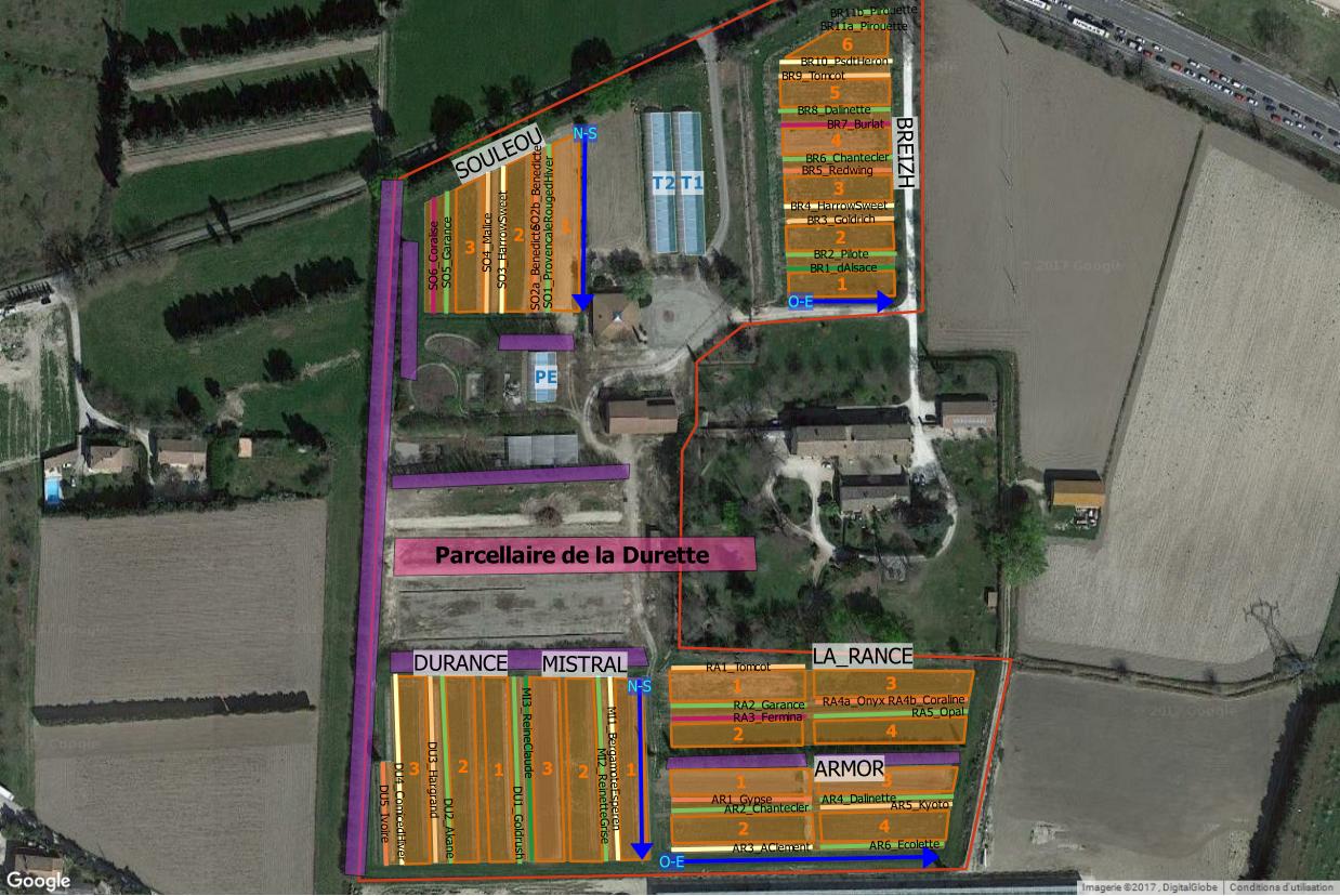 aperçu aérien du parcellaire