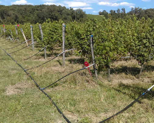 parcelle expérimentale avec pulvérisation fixe