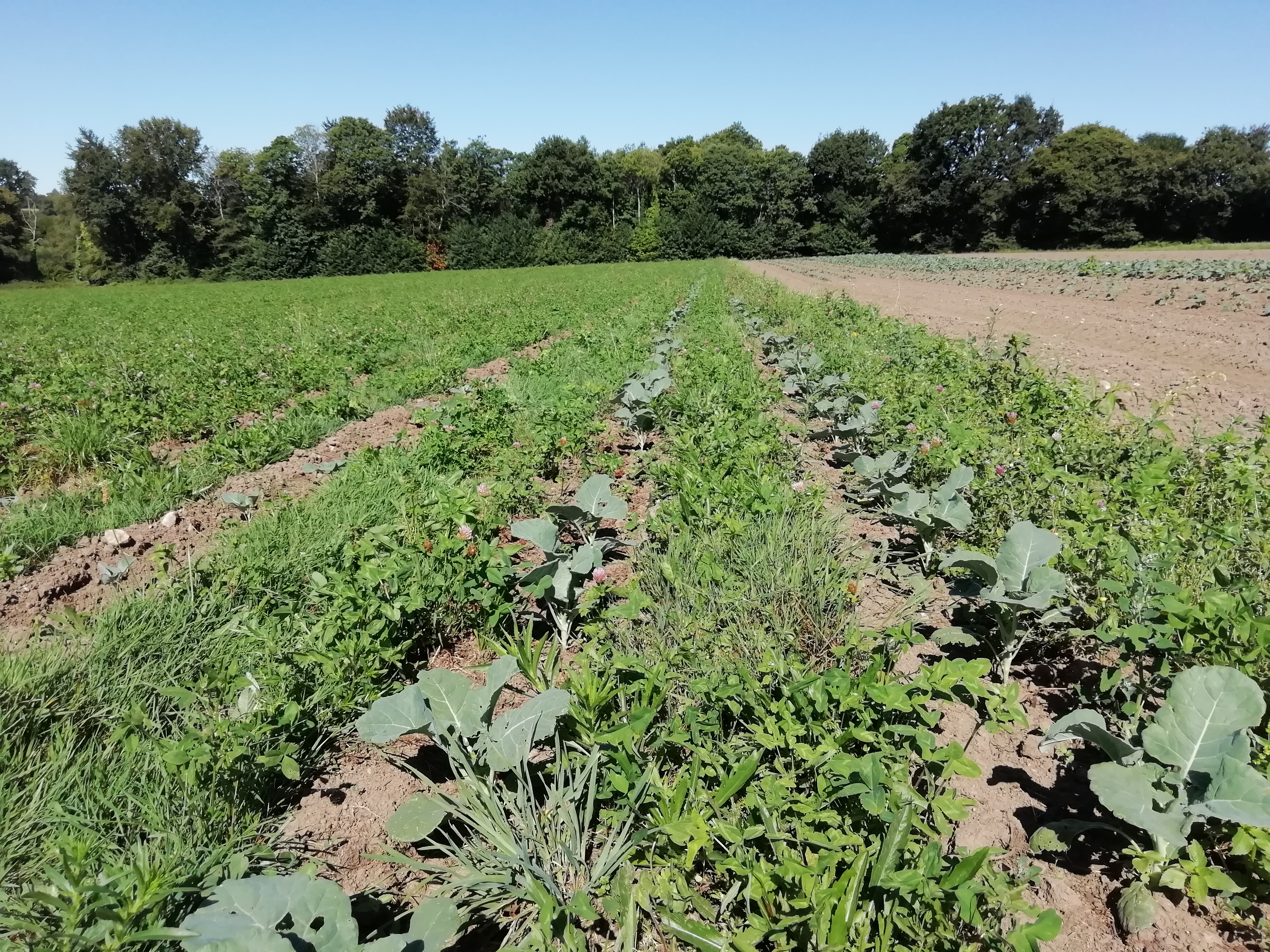 été 2020 essai persyst court circuit