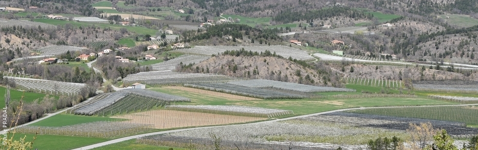 Photo illustration page groupe CA05