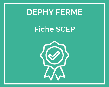 fiche SCEP