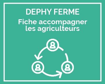 fiches pratique remarquable