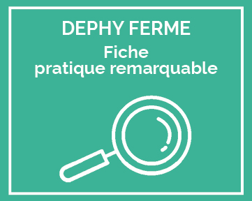 fiches pratique remarquable
