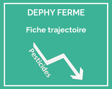 fiche trajectoire