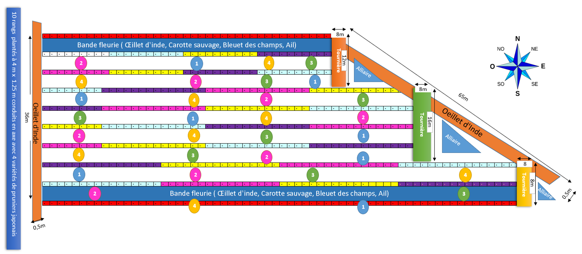 Plan dispositif CEFEL