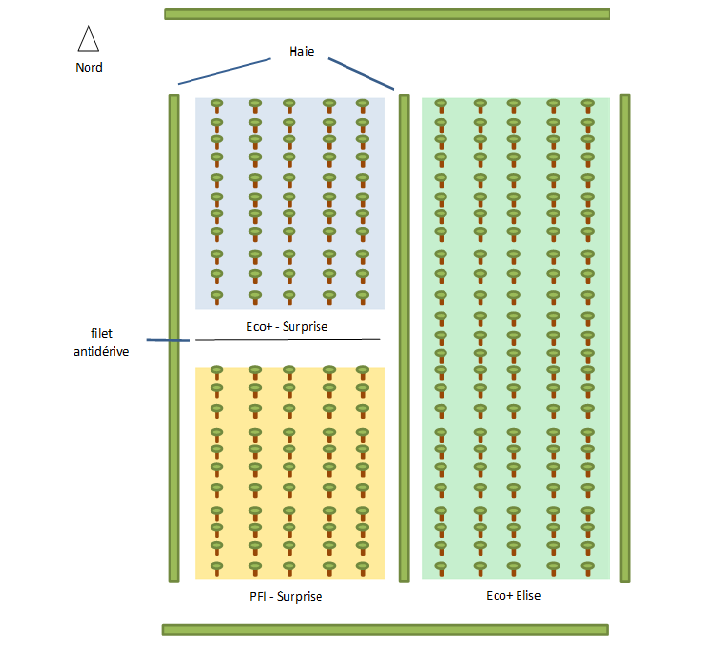 Plan dispositif Ecopêche 2 - Gotheron