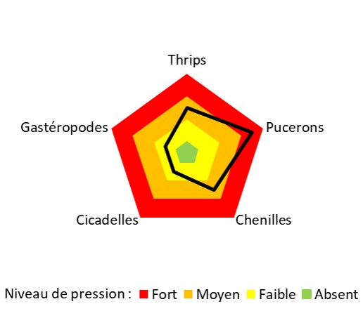 Pression ravageurs Astredhor Sud-Ouest HORTIPOT 2